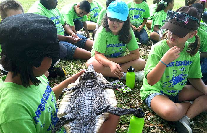 Elementary students learn outdoors in camp